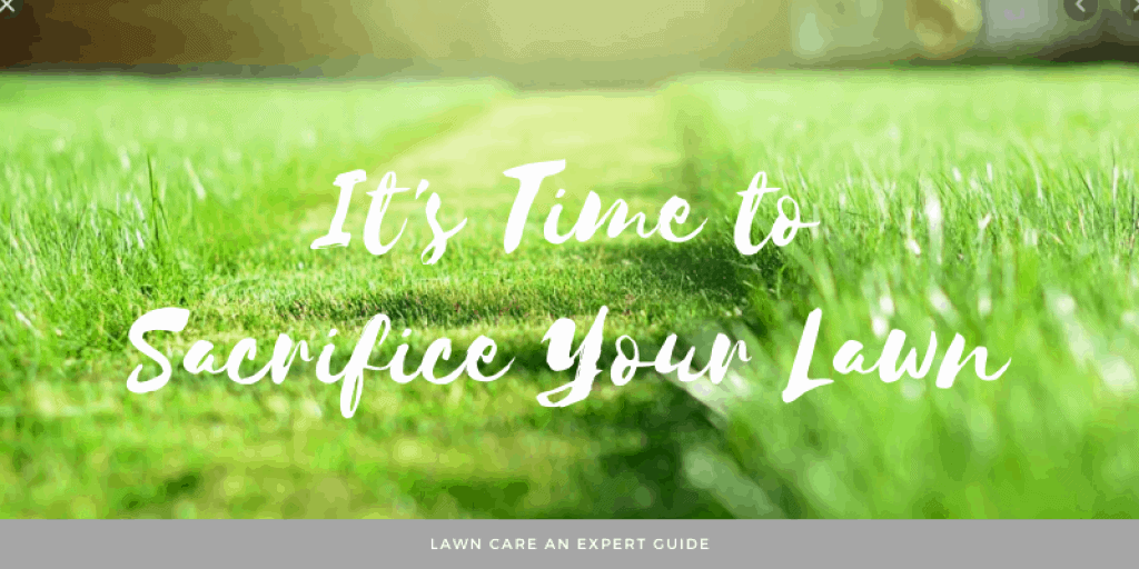 It's Time to Sacrifice Your Lawn