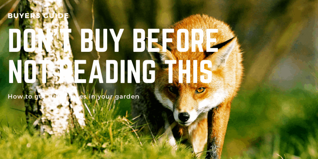 How to get rid of foxes in your garden - UK Expert Guide