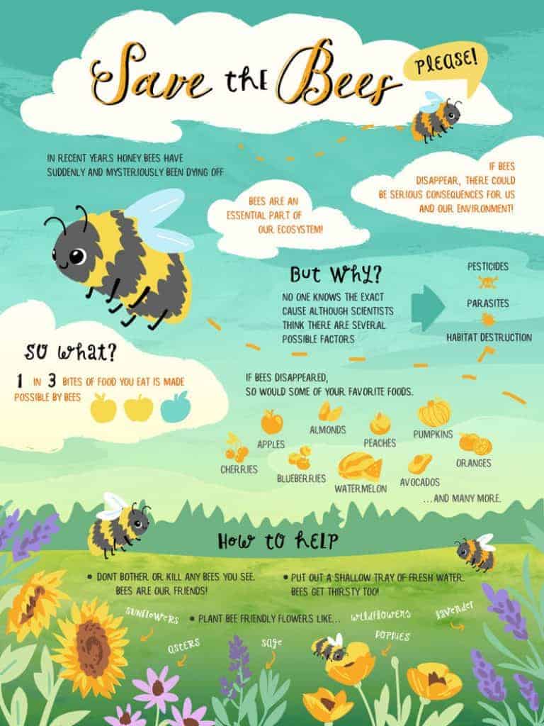 save+the+bees+infographic-poster+format1-01