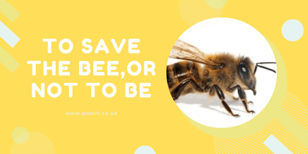 to save the bee,or not to be