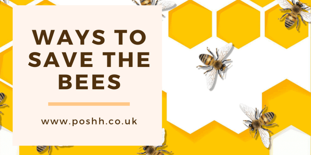 ways to save the bees