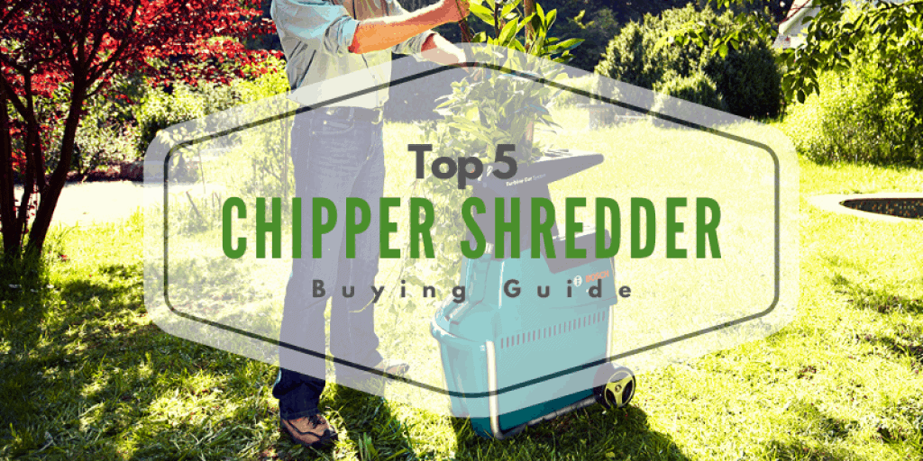 shredder buyer's guide