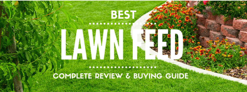 Best Lawn Feed UK
