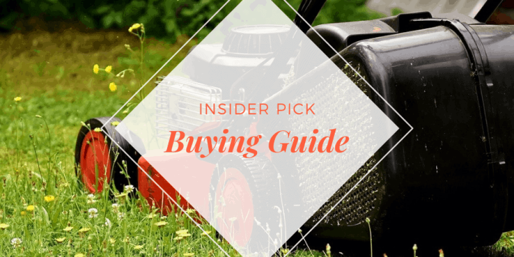 buying guide