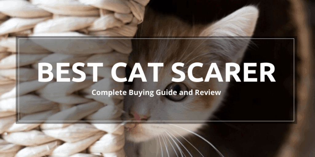 Best Cat Scarer