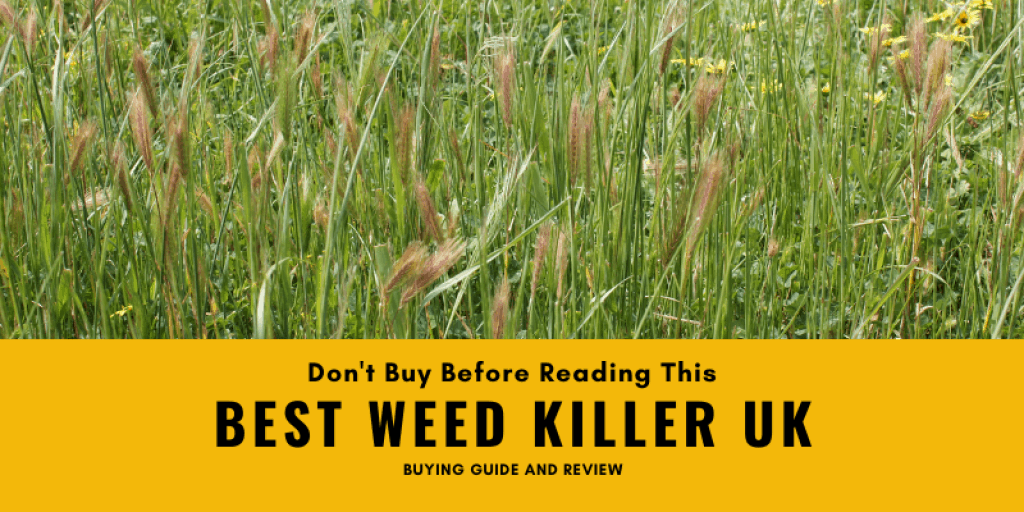 Best Weed Killer UK