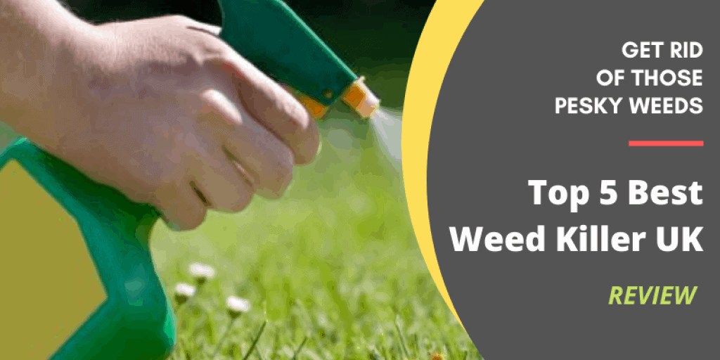 Best Weed Killer UK (3)