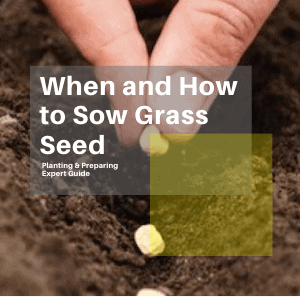 When and How to Sow Grass Seed